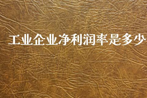 工业企业净利润率是多少_https://wap.sdxiaoxijinshu.com_期货_第1张