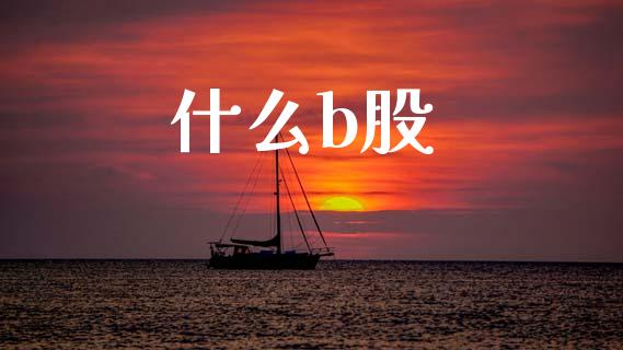 什么b股_https://wap.sdxiaoxijinshu.com_理财_第1张