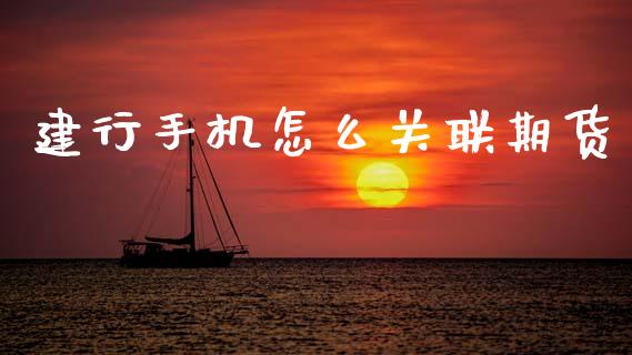 建行手机怎么关联期货_https://wap.sdxiaoxijinshu.com_期货_第1张