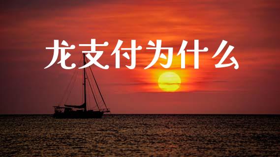 龙支付为什么_https://wap.sdxiaoxijinshu.com_理财_第1张