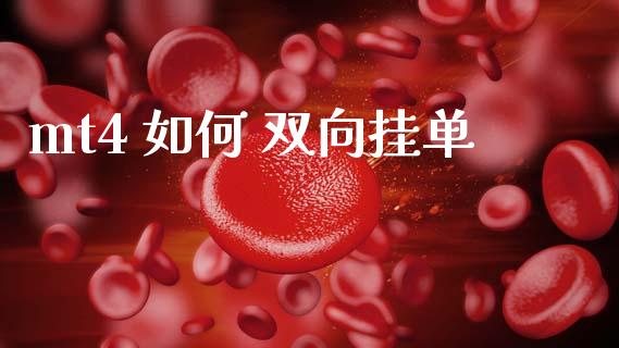 mt4 如何 双向挂单_https://wap.sdxiaoxijinshu.com_财经_第1张