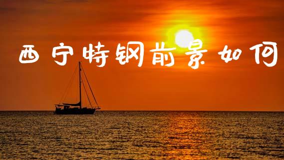 西宁特钢前景如何_https://wap.sdxiaoxijinshu.com_财经_第1张