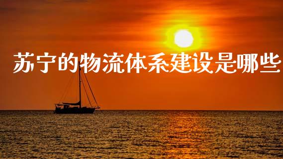 苏宁的物流体系建设是哪些_https://wap.sdxiaoxijinshu.com_财经_第1张