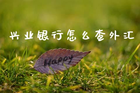 兴业银行怎么查外汇_https://wap.sdxiaoxijinshu.com_金融_第1张