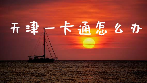 天津一卡通怎么办_https://wap.sdxiaoxijinshu.com_金融_第1张