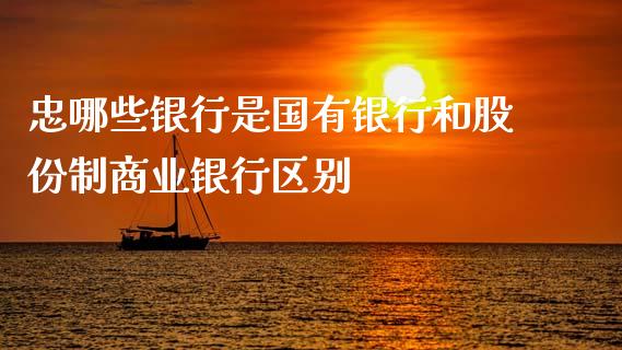 忠哪些银行是国有银行和股份制商业银行区别_https://wap.sdxiaoxijinshu.com_金融_第1张