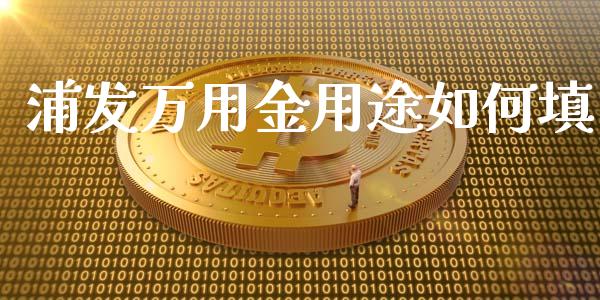 浦发万用金用途如何填_https://wap.sdxiaoxijinshu.com_财经_第1张