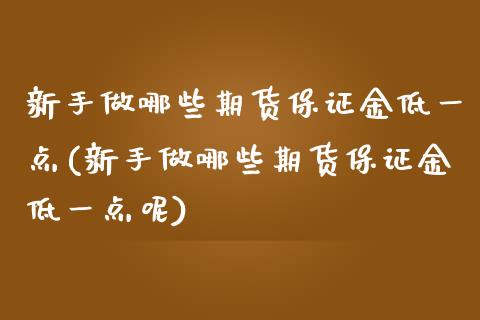新手做哪些期货保证金低一点(新手做哪些期货保证金低一点呢)_https://wap.sdxiaoxijinshu.com_财经_第1张