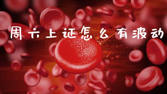 周六上证怎么有波动_https://wap.sdxiaoxijinshu.com_期货_第1张