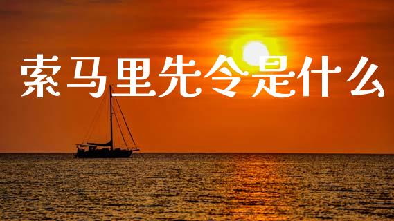 索马里先令是什么_https://wap.sdxiaoxijinshu.com_财经_第1张
