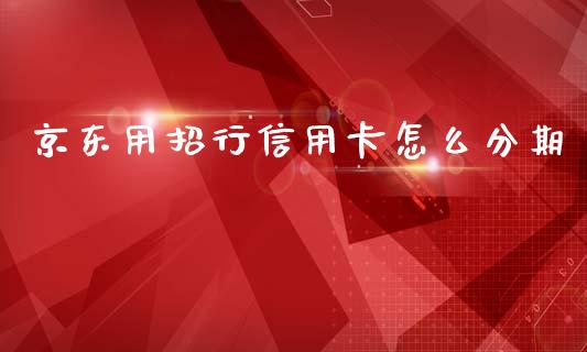 京东用招行信用卡怎么分期_https://wap.sdxiaoxijinshu.com_金融_第1张