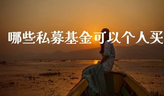 哪些私募基金可以个人买_https://wap.sdxiaoxijinshu.com_财经_第1张