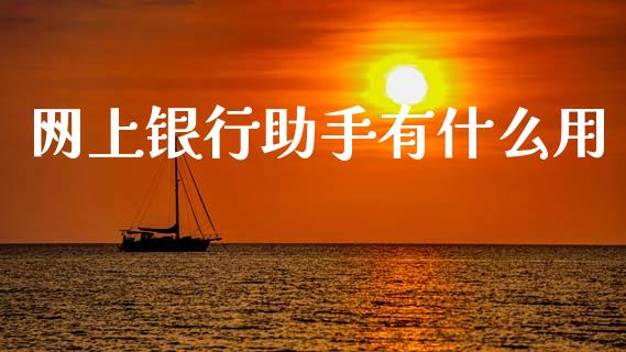 网上银行助手有什么用_https://wap.sdxiaoxijinshu.com_金融_第1张