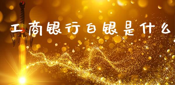工商银行白银是什么_https://wap.sdxiaoxijinshu.com_财经_第1张