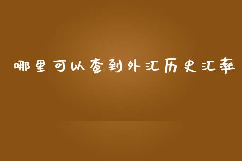 哪里可以查到外汇历史汇率_https://wap.sdxiaoxijinshu.com_财经_第1张