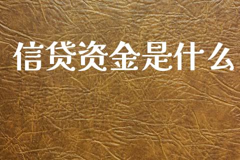 信贷资金是什么_https://wap.sdxiaoxijinshu.com_理财_第1张