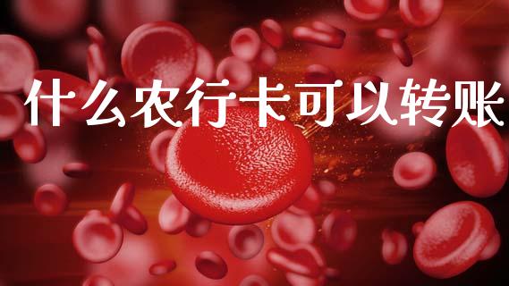 什么农行卡可以转账_https://wap.sdxiaoxijinshu.com_金融_第1张