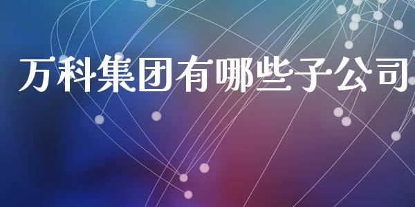 万科集团有哪些子公司_https://wap.sdxiaoxijinshu.com_期货_第1张