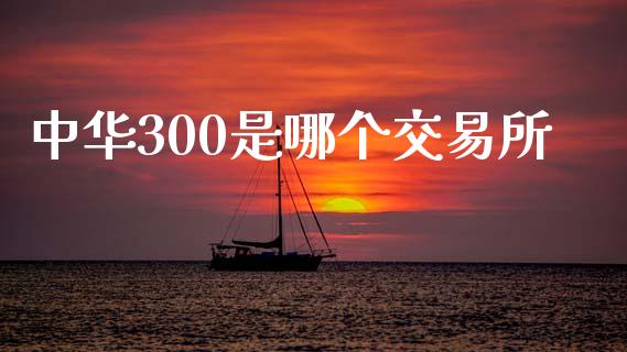 中华300是哪个交易所_https://wap.sdxiaoxijinshu.com_财经_第1张