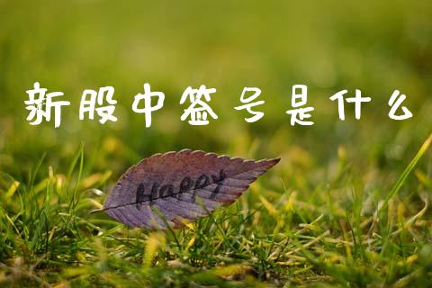 新股中签号是什么_https://wap.sdxiaoxijinshu.com_期货_第1张