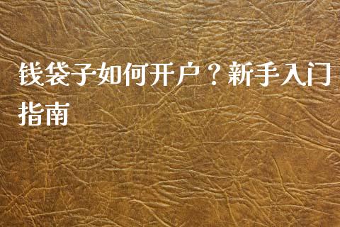 钱袋子如何开户？新手入门指南_https://wap.sdxiaoxijinshu.com_财经_第1张