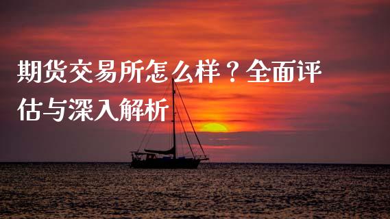 期货交易所怎么样？全面评估与深入解析_https://wap.sdxiaoxijinshu.com_金融_第1张