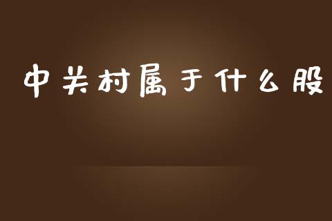 中关村属于什么股_https://wap.sdxiaoxijinshu.com_财经_第1张
