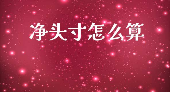 净头寸怎么算_https://wap.sdxiaoxijinshu.com_财经_第1张