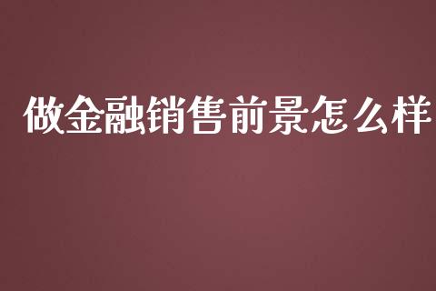 做金融销售前景怎么样_https://wap.sdxiaoxijinshu.com_理财_第1张