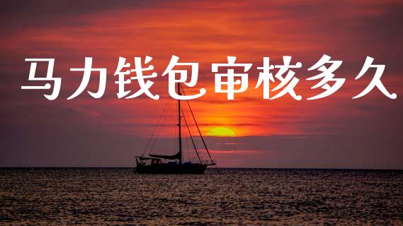 马力钱包审核多久_https://wap.sdxiaoxijinshu.com_理财_第1张