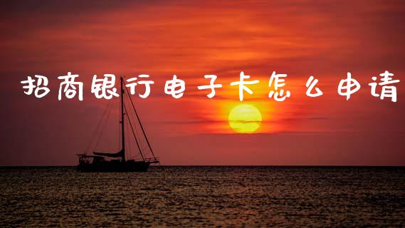 招商银行电子卡怎么申请_https://wap.sdxiaoxijinshu.com_金融_第1张