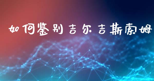 如何鉴别吉尔吉斯索姆_https://wap.sdxiaoxijinshu.com_金融_第1张