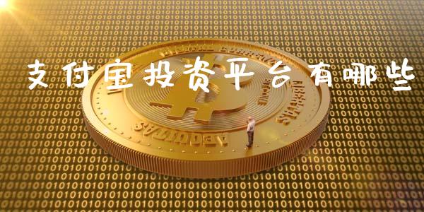 支付宝投资平台有哪些_https://wap.sdxiaoxijinshu.com_理财_第1张