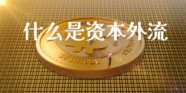 什么是资本外流_https://wap.sdxiaoxijinshu.com_财经_第1张