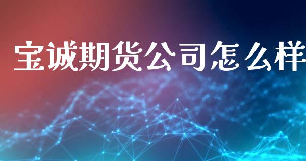 宝诚期货公司怎么样_https://wap.sdxiaoxijinshu.com_期货_第1张