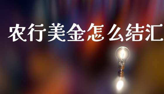 农行美金怎么结汇_https://wap.sdxiaoxijinshu.com_财经_第1张