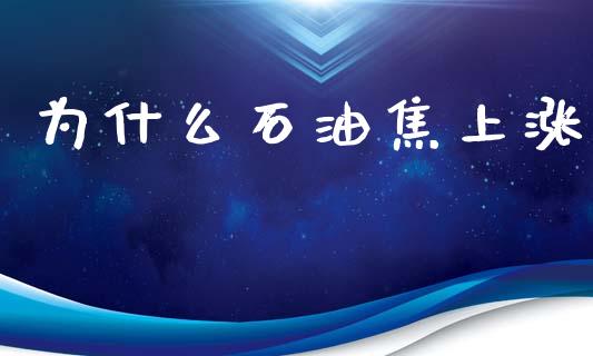 为什么石油焦上涨_https://wap.sdxiaoxijinshu.com_期货_第1张