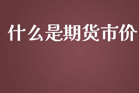 什么是期货市价_https://wap.sdxiaoxijinshu.com_期货_第1张