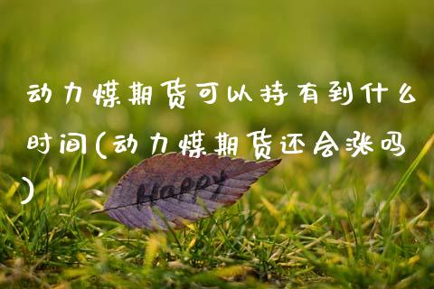 动力煤期货可以持有到什么时间(动力煤期货还会涨吗)_https://wap.sdxiaoxijinshu.com_理财_第1张