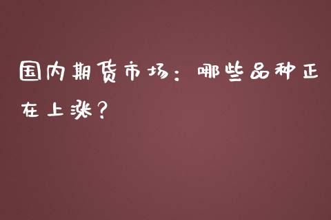 国内期货市场：哪些品种正在上涨？_https://wap.sdxiaoxijinshu.com_金融_第1张