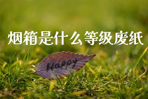 烟箱是什么等级废纸_https://wap.sdxiaoxijinshu.com_期货_第1张