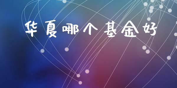 华夏哪个基金好_https://wap.sdxiaoxijinshu.com_理财_第1张