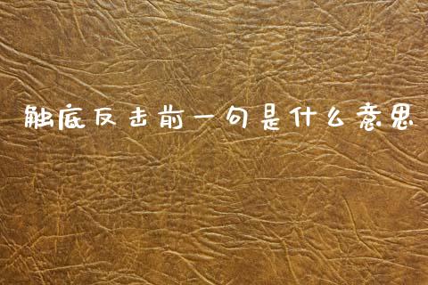 触底反击前一句是什么意思_https://wap.sdxiaoxijinshu.com_财经_第1张
