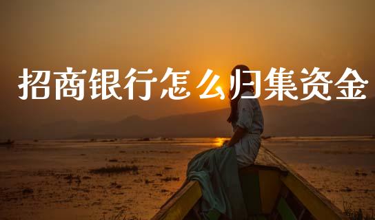 招商银行怎么归集资金_https://wap.sdxiaoxijinshu.com_金融_第1张