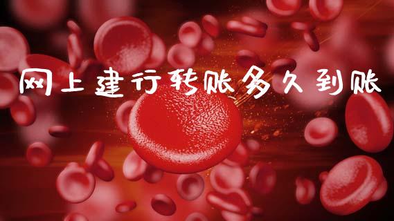 网上建行转账多久到账_https://wap.sdxiaoxijinshu.com_理财_第1张