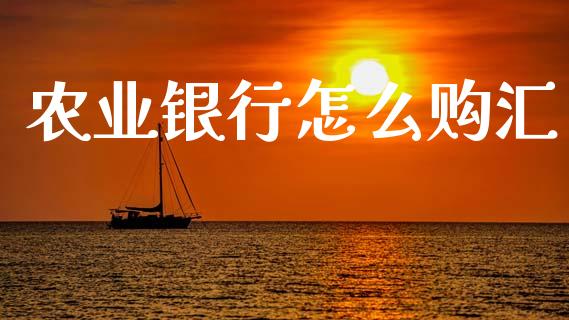 农业银行怎么购汇_https://wap.sdxiaoxijinshu.com_财经_第1张