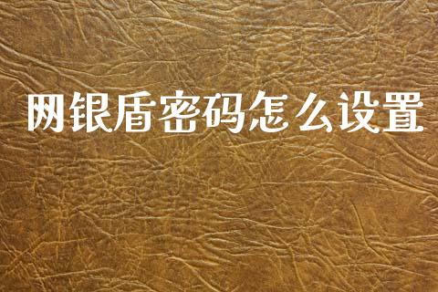 网银盾密码怎么设置_https://wap.sdxiaoxijinshu.com_金融_第1张