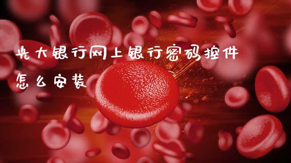 光大银行网上银行密码控件怎么安装_https://wap.sdxiaoxijinshu.com_金融_第1张