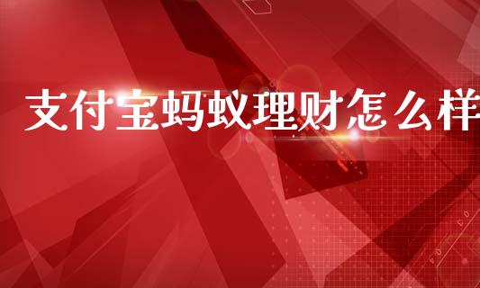支付宝蚂蚁理财怎么样_https://wap.sdxiaoxijinshu.com_理财_第1张