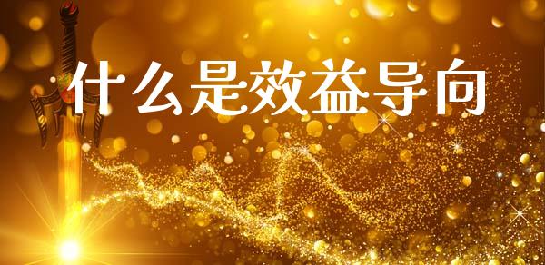 什么是效益导向_https://wap.sdxiaoxijinshu.com_金融_第1张